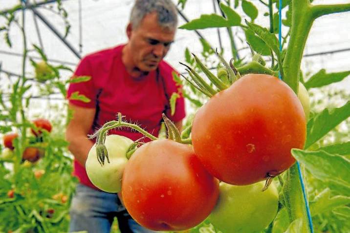 Dar&aacute;n detalles para estar en Compra Rural Santander